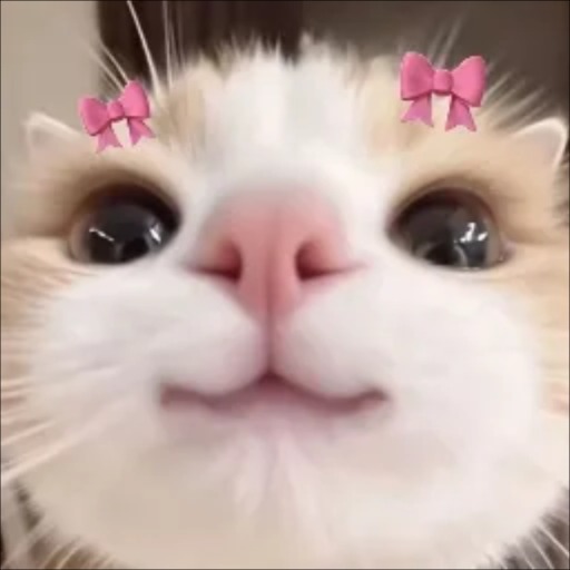 666